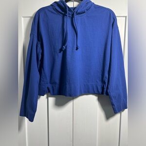 Everlane Retro Jersey Hoodie Cropped Blue Organic Cotton Size S
